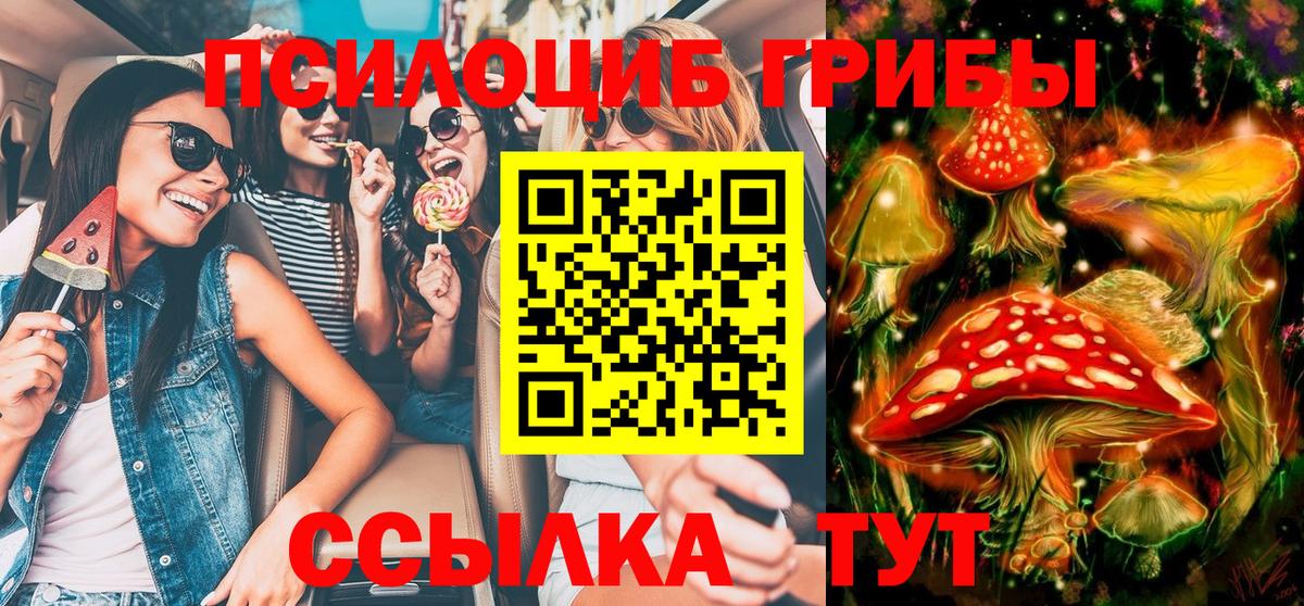 Людиново  Псилоцибиновые грибы мухоморы  Вход с VPN 
